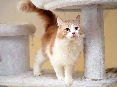 Hendrik am 29.05.2025